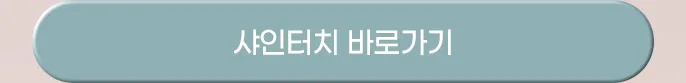 샤인터치버튼