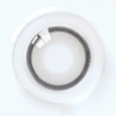 리얼리쉬 시리즈