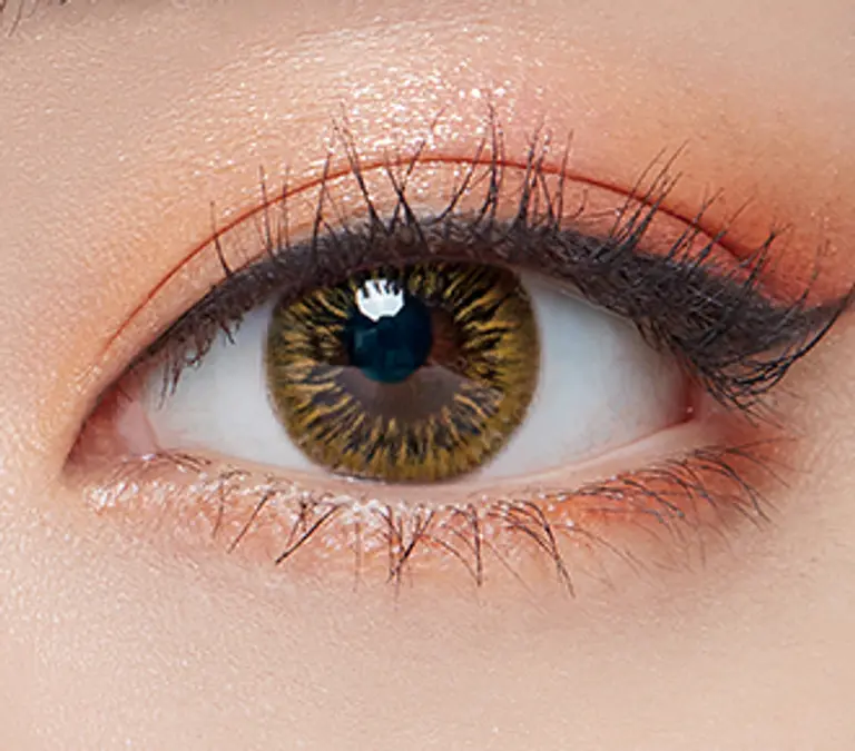 아리아 비치 브라운 [난시용]