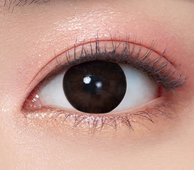 톡톡 초코브라운