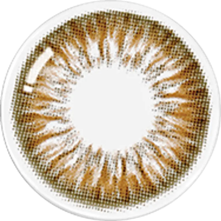 아리아 비치 브라운 [난시용]