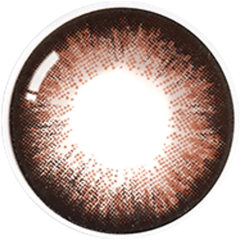 톡톡 초코브라운