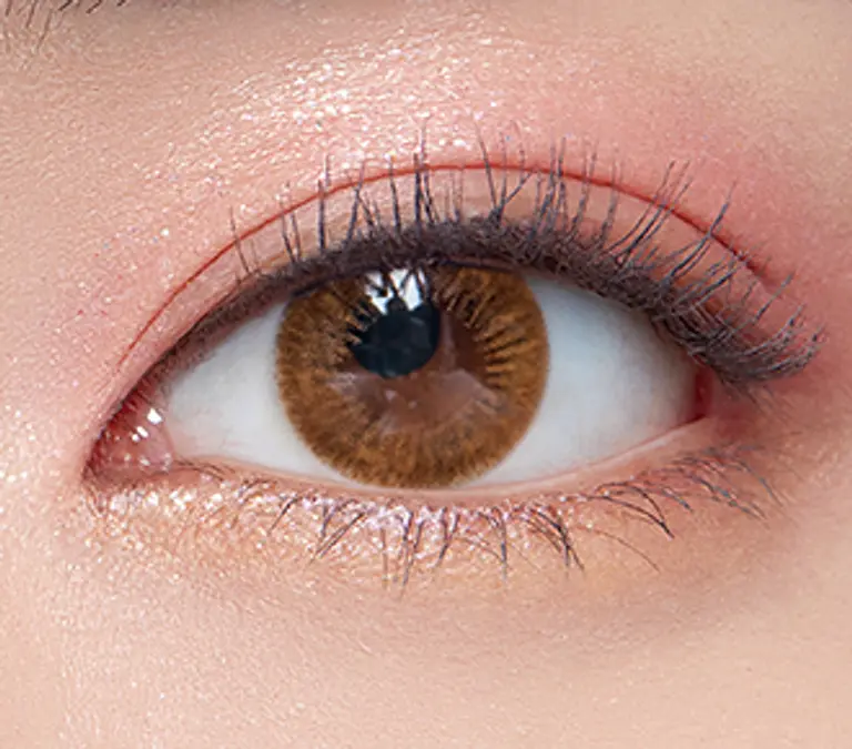 아리아 코튼 브라운 [난시용]