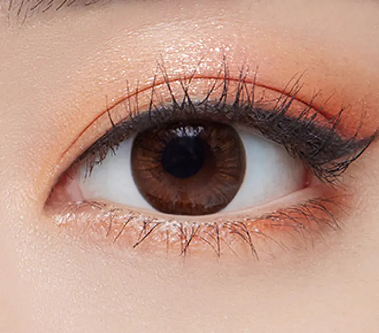 파이2 브라운 [난시용]