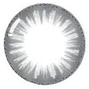 글리터링그레이