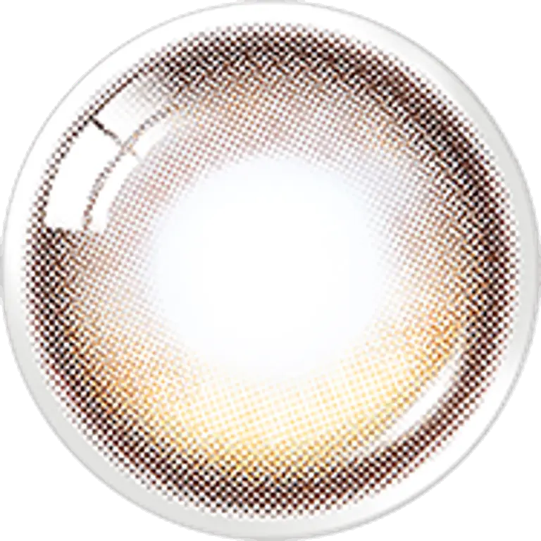 글로이 원데이 브라운