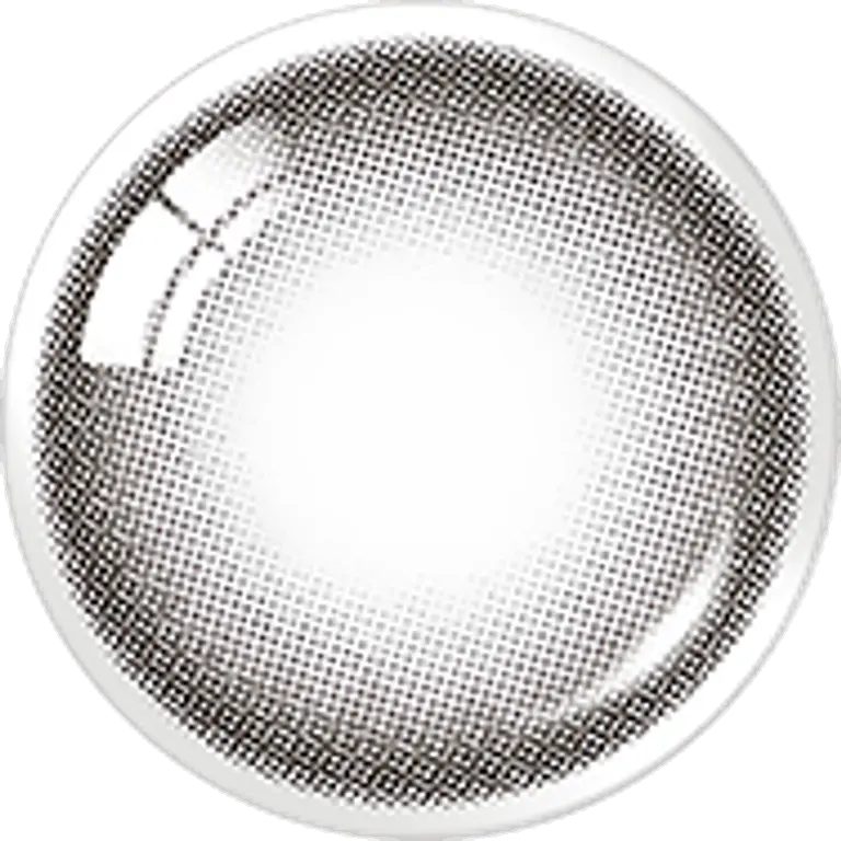 샤인블랙 원데이