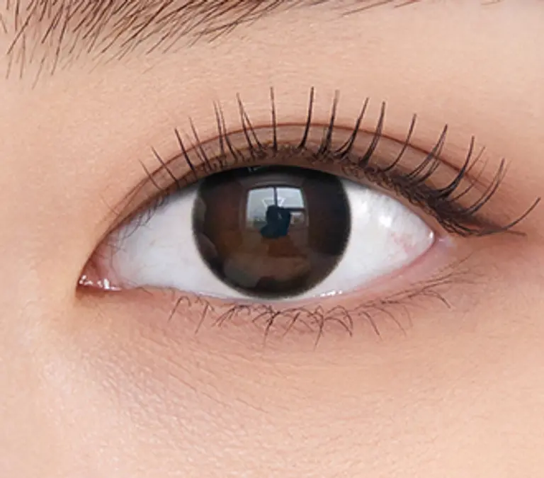 샤인블랙 원데이