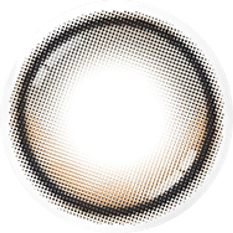 레이셀 오로라블랙(30P)