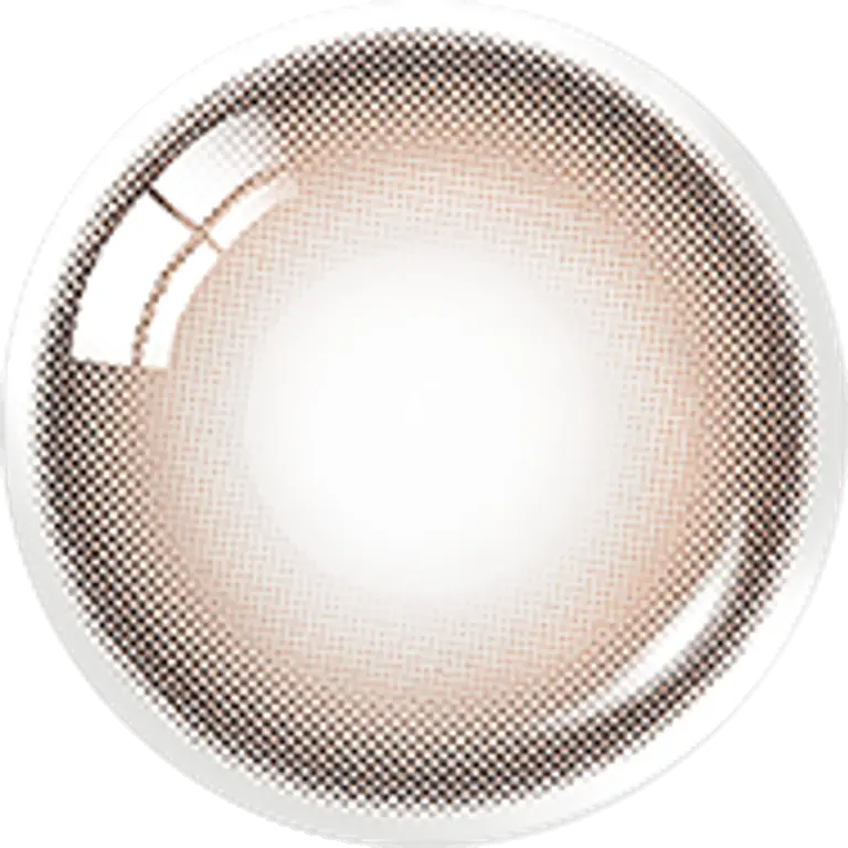 무드나잇 원데이 무드브라운