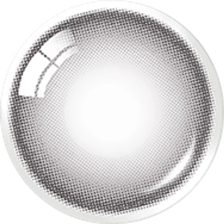 무드나잇 원데이 무드그레이