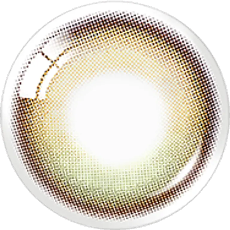 글로이 원데이 골든올리브(10P)