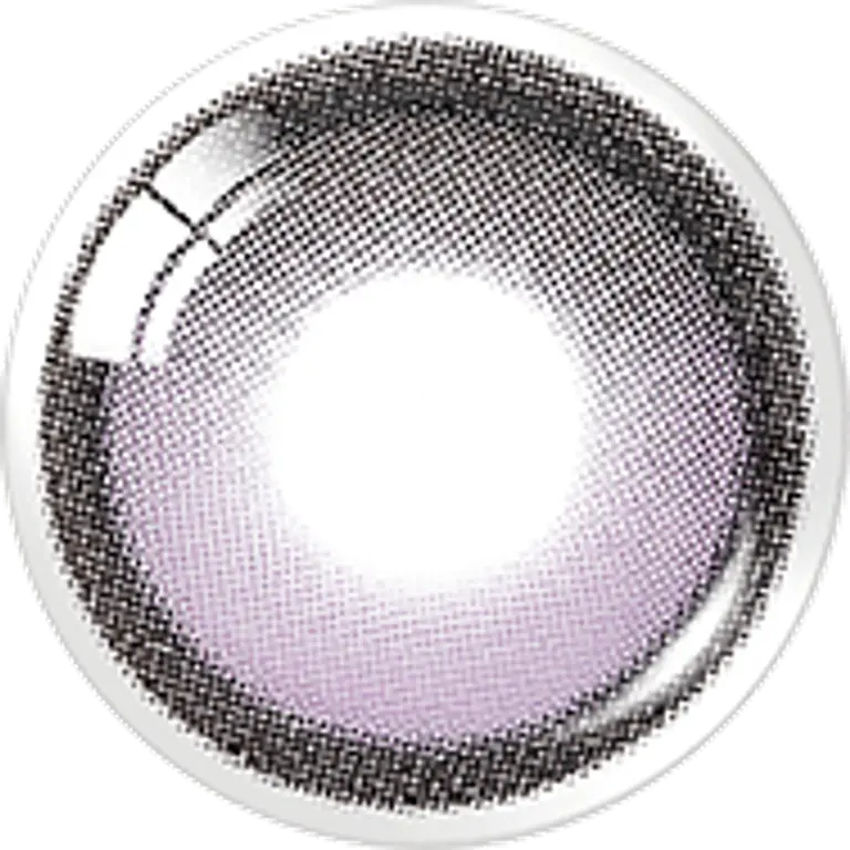 빅글로이 원데이 라벤더(10P)