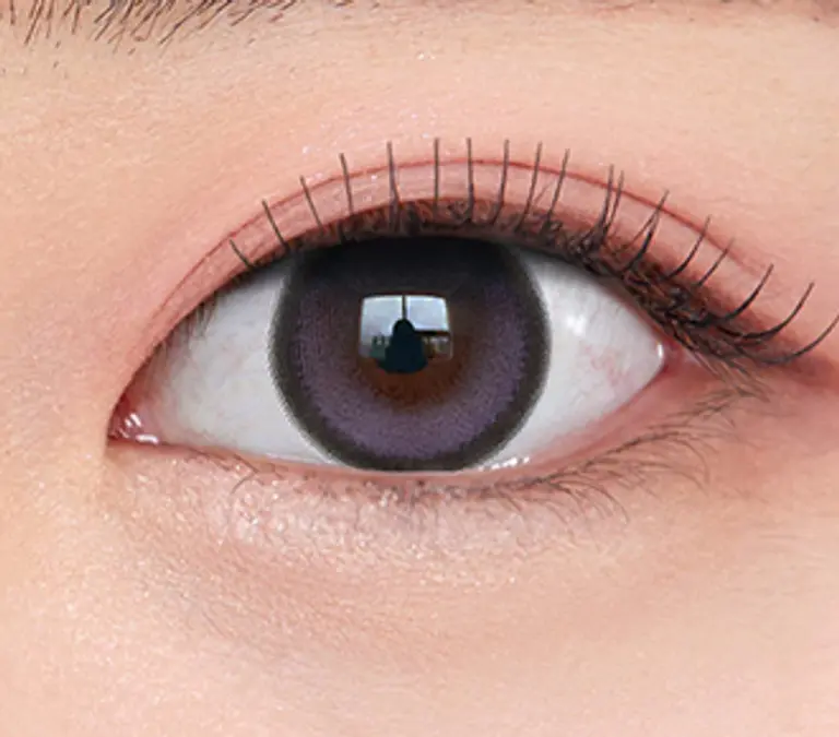 빅글로이 원데이 라벤더(10P)