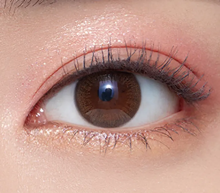 내츄럴데이 브라운