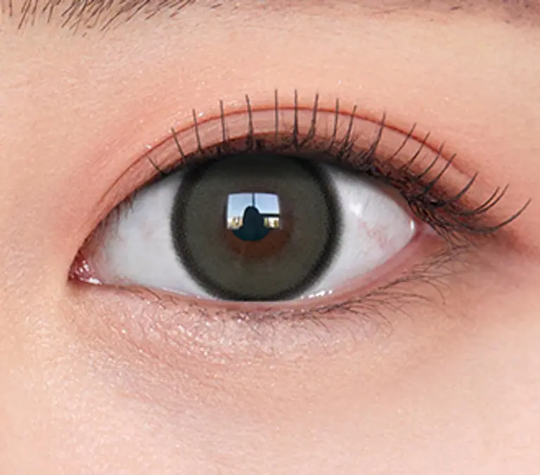 리얼리쉬 그레이(10P)