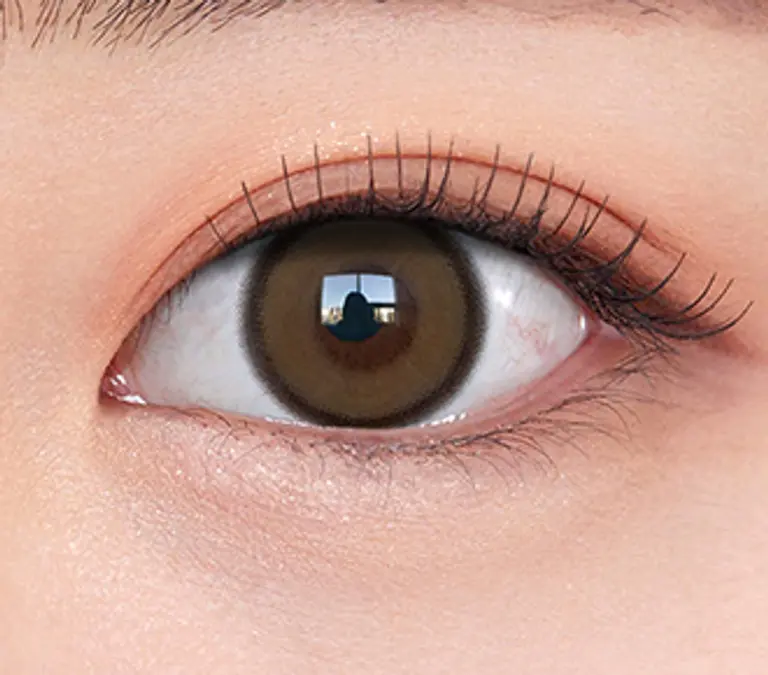 리얼리쉬 브라운(2P)