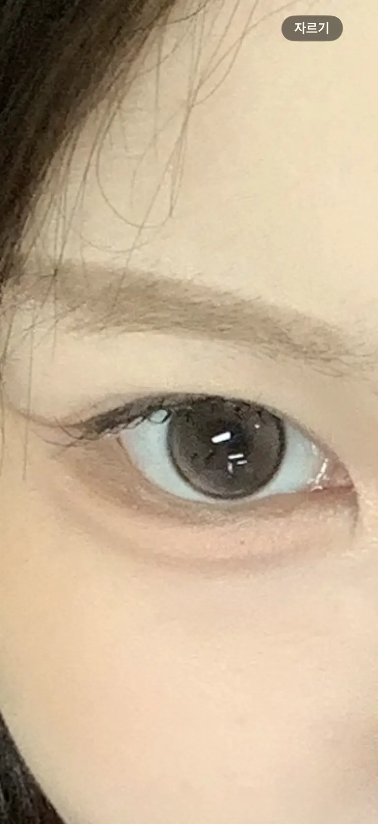 리뷰 이미지 1