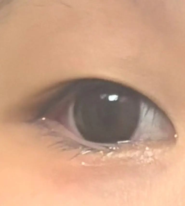 리뷰 이미지 1