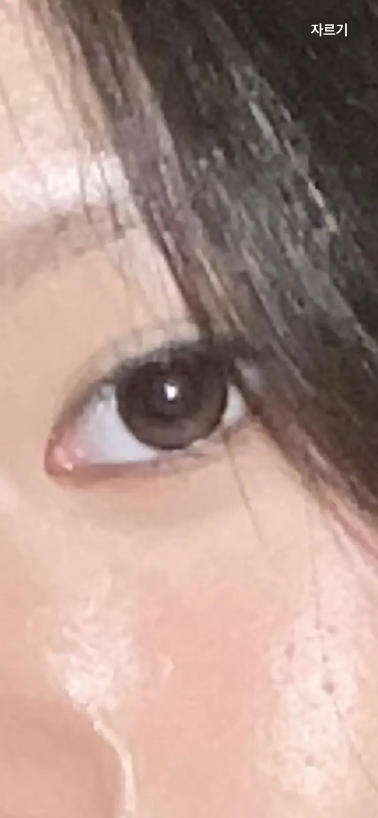 리뷰 이미지 1