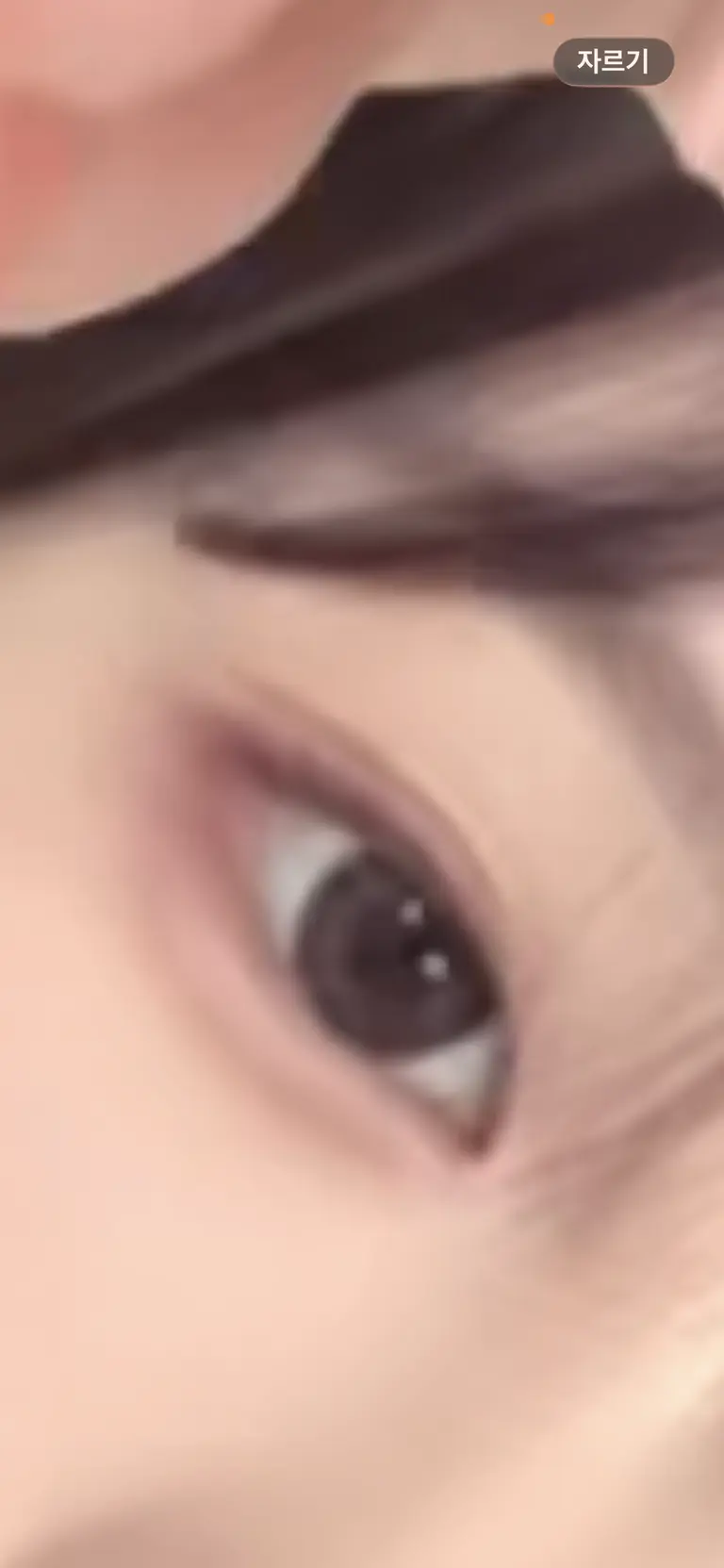 리뷰 이미지 1