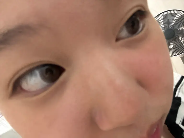 리뷰 이미지 1