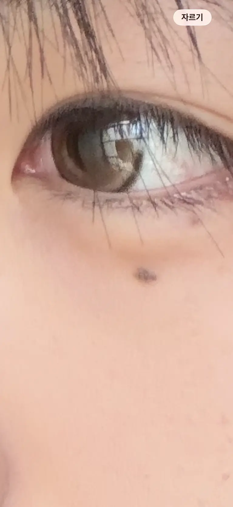 리뷰 이미지 2