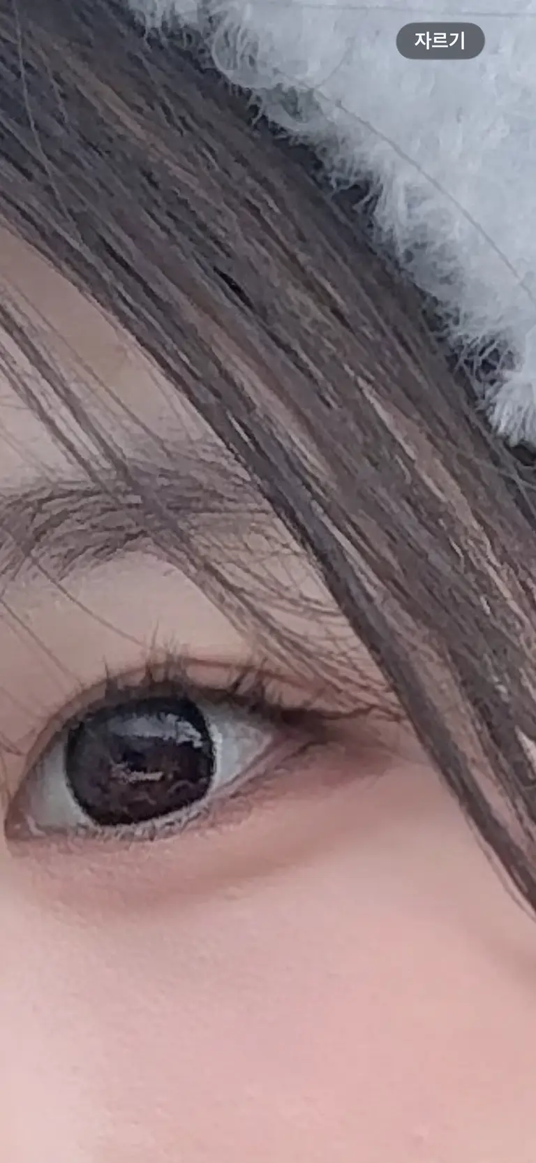 리뷰 이미지 1