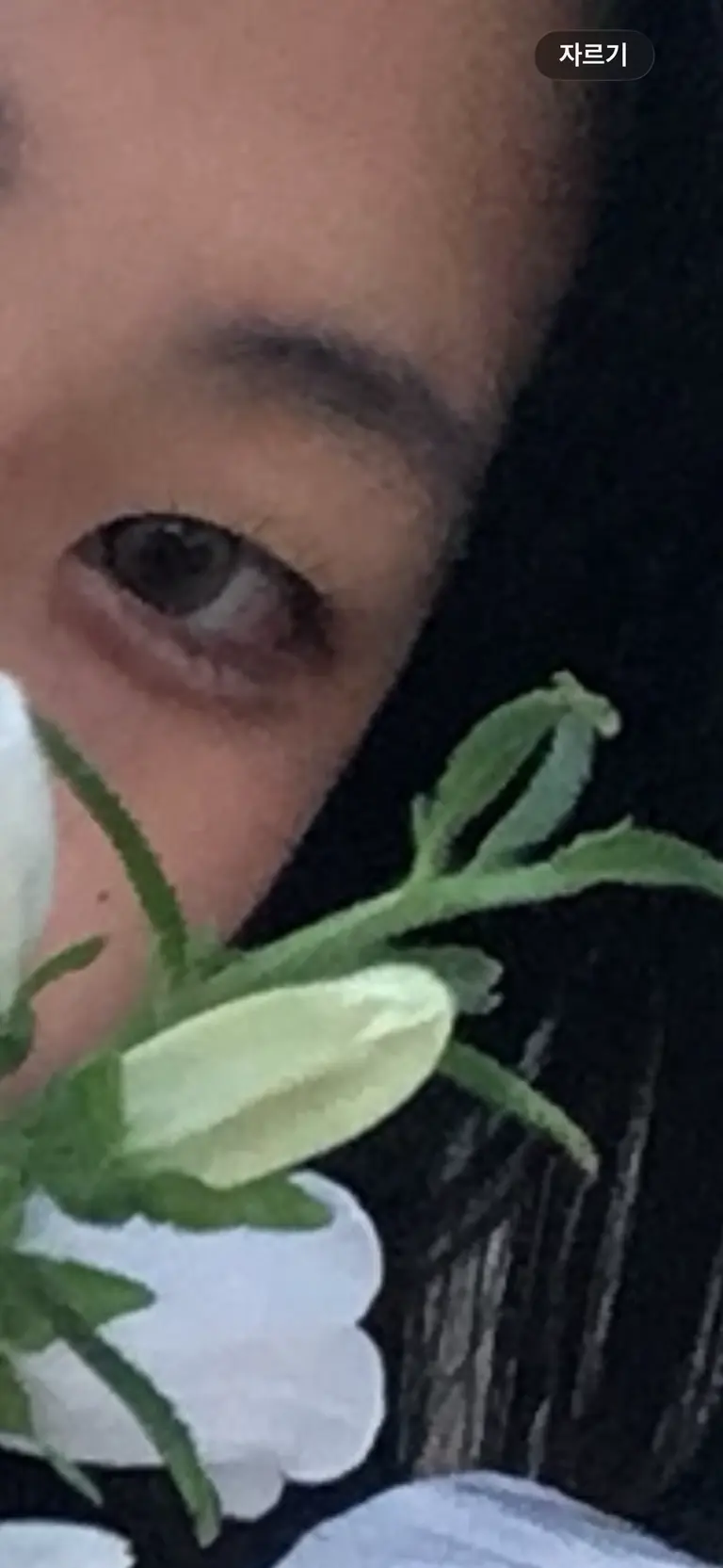 리뷰 이미지 1
