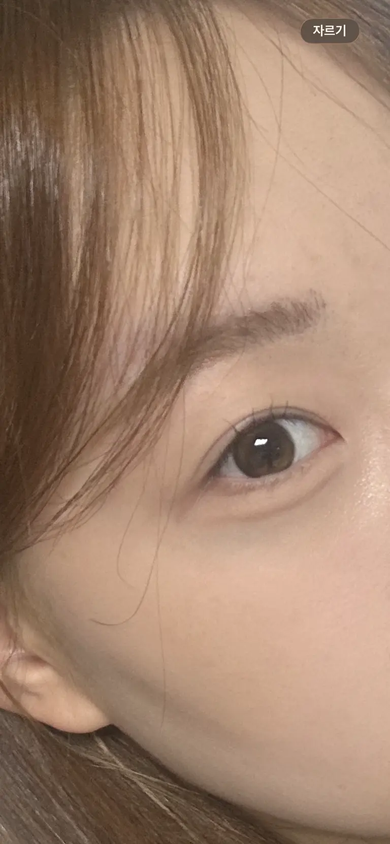 더블틴트 원데이 브라운 리뷰 이미지 1