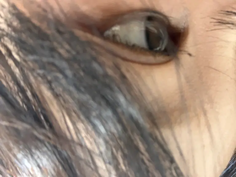 리뷰 이미지 1
