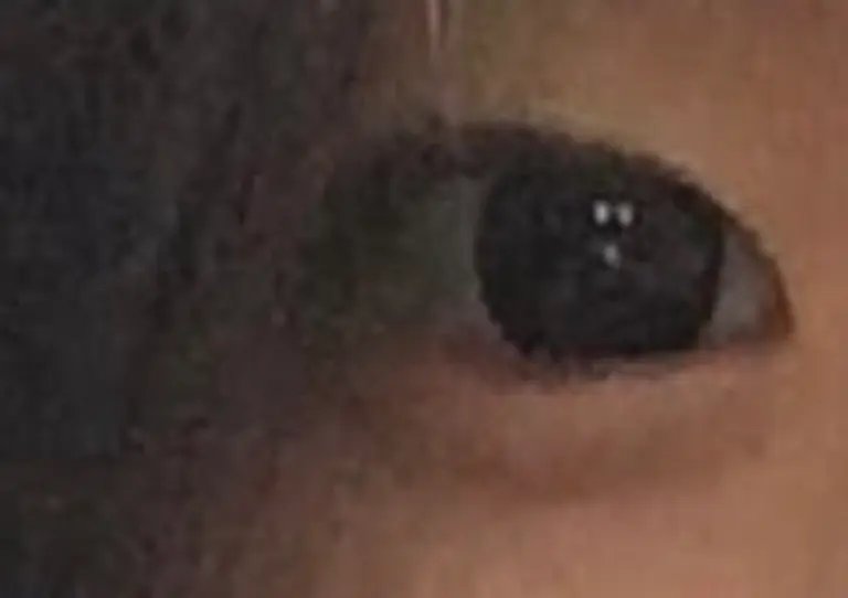 리뷰 이미지 1