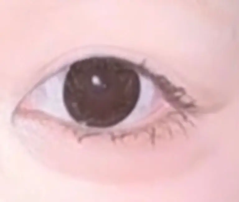 리뷰 이미지 1