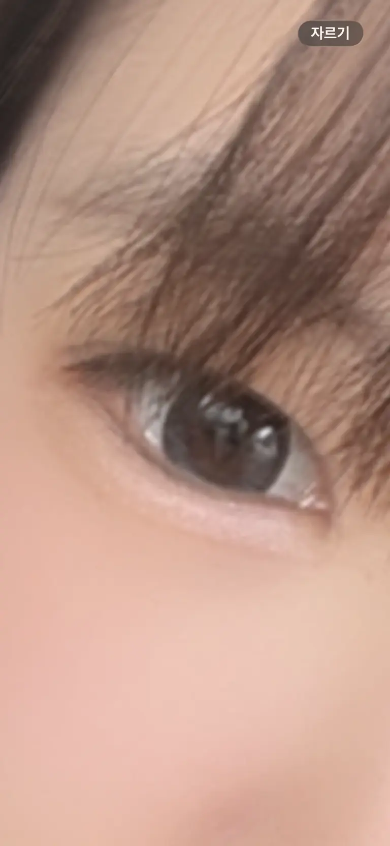 리뷰 이미지 1