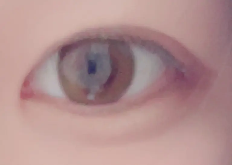 리뷰 이미지 1