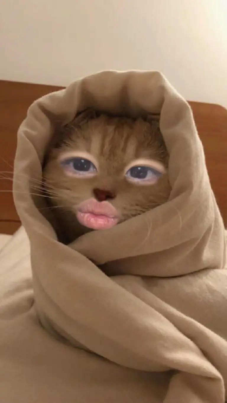 [샘플]누디링 차콜블랙 리뷰 이미지 1
