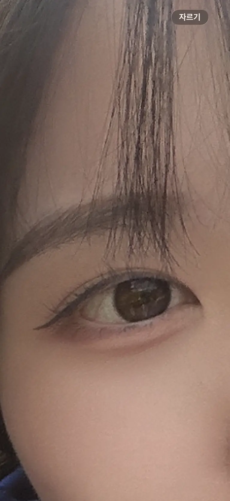 리뷰 이미지 2