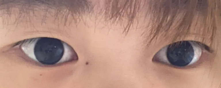 리뷰 이미지 3