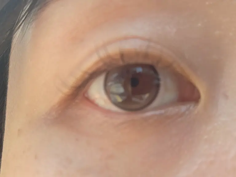 글로이티어 미니 브라운(10P) 리뷰 이미지 1