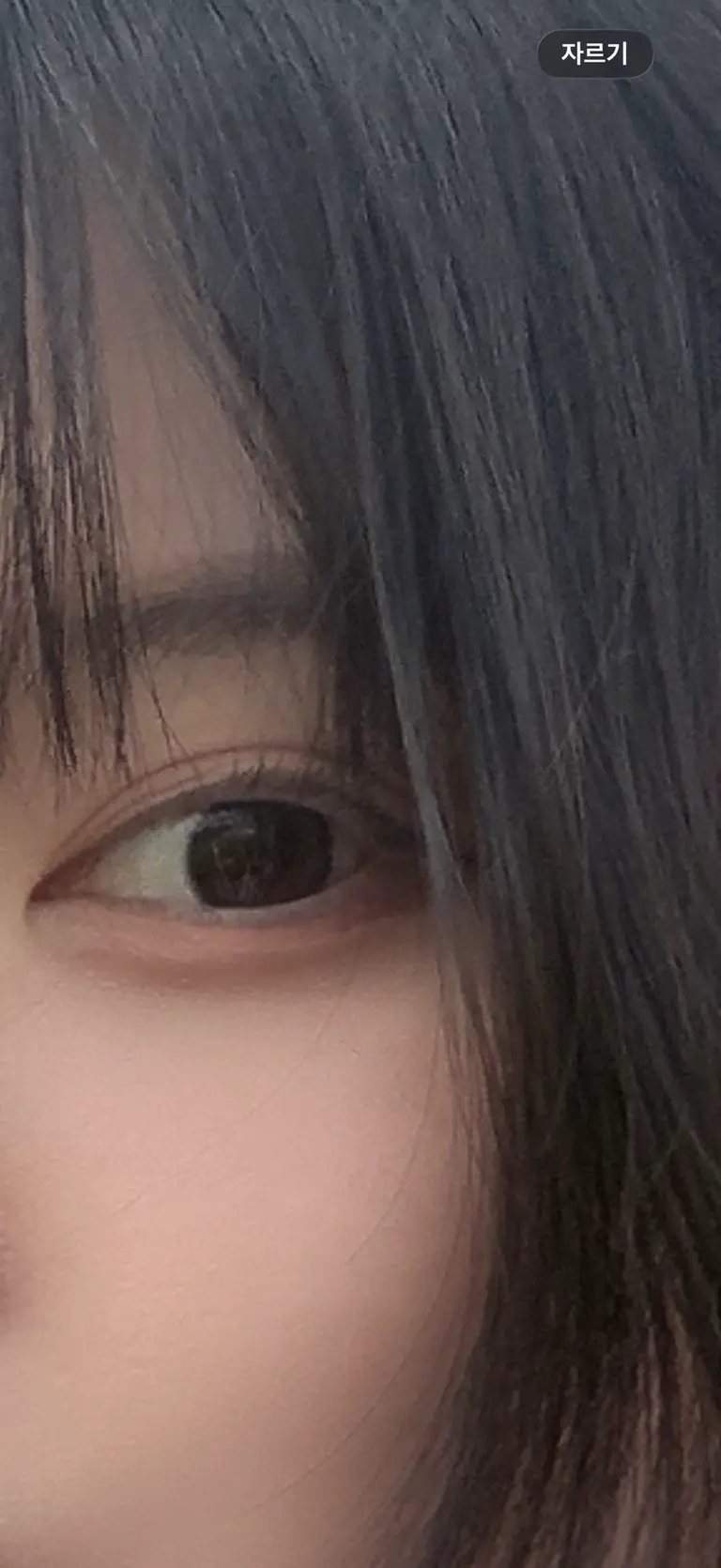 리뷰 이미지 1