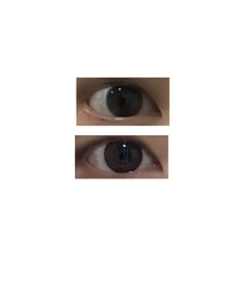 리뷰 이미지 1