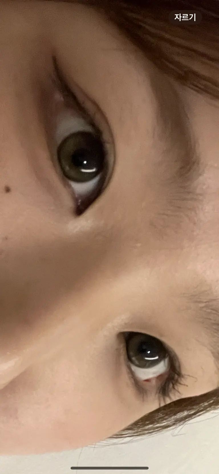 리뷰 이미지 1