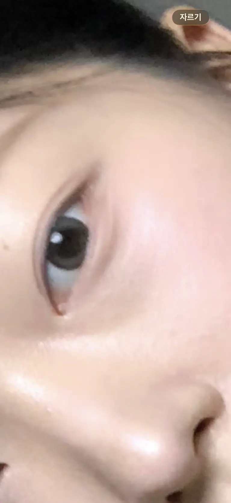 리뷰 이미지 1