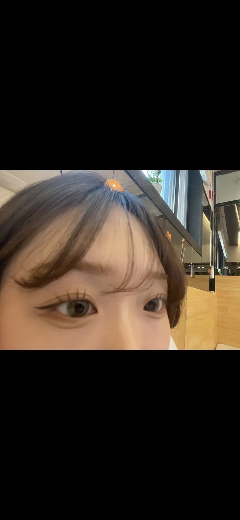 디어 브라운 리뷰 이미지 1