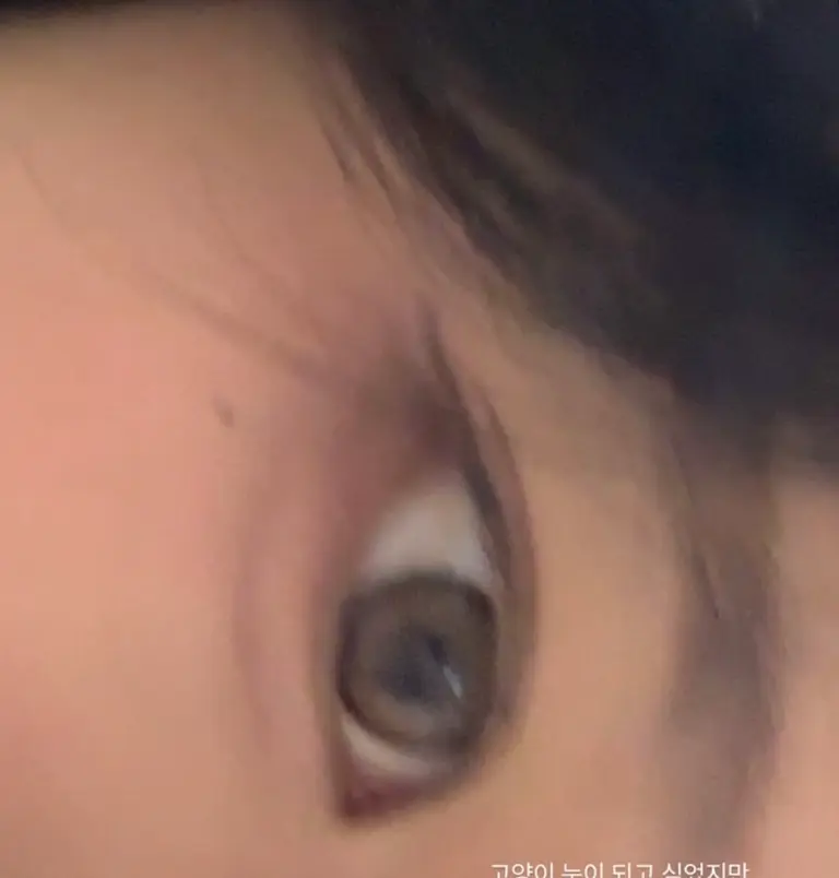 리뷰 이미지 1