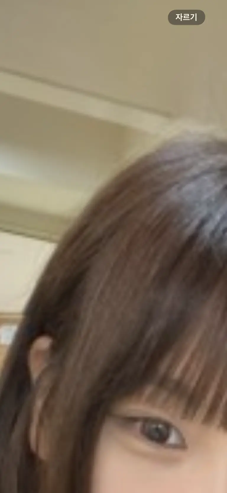 리뷰 이미지 1