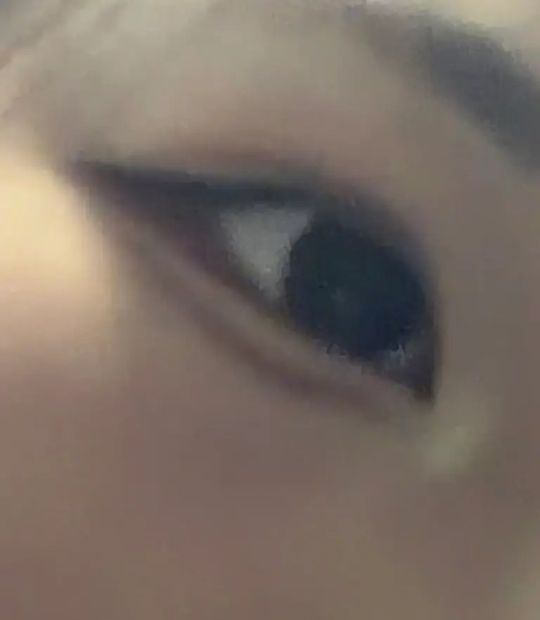 리뷰 이미지 1