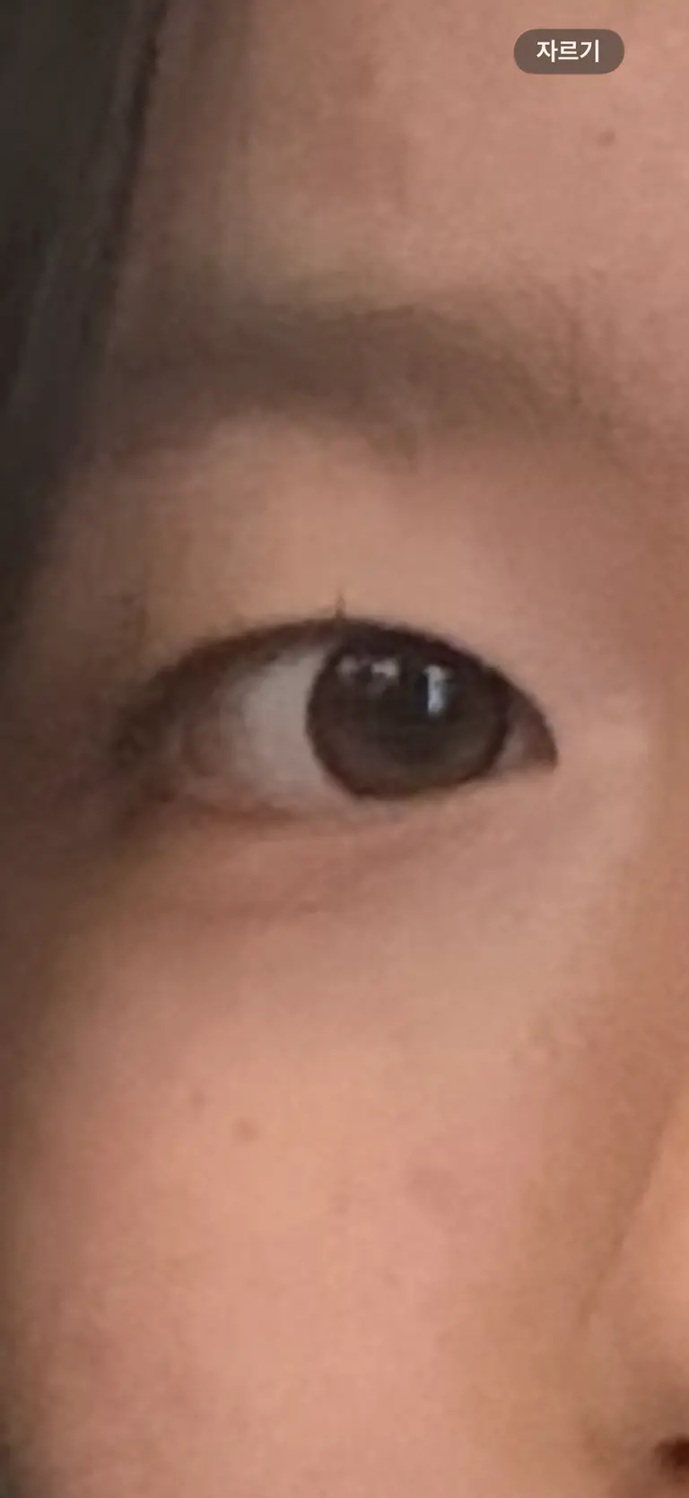 리뷰 이미지 1