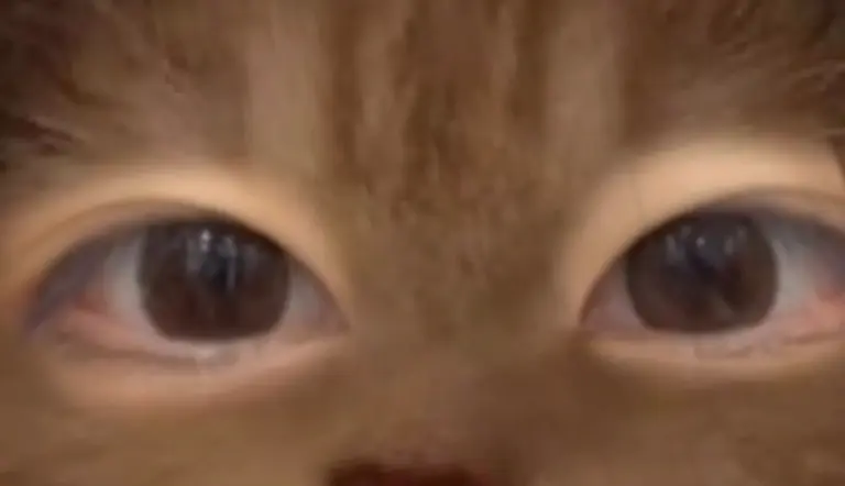 리뷰 이미지 1