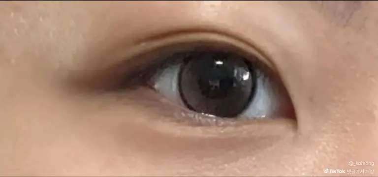 리뷰 이미지 1